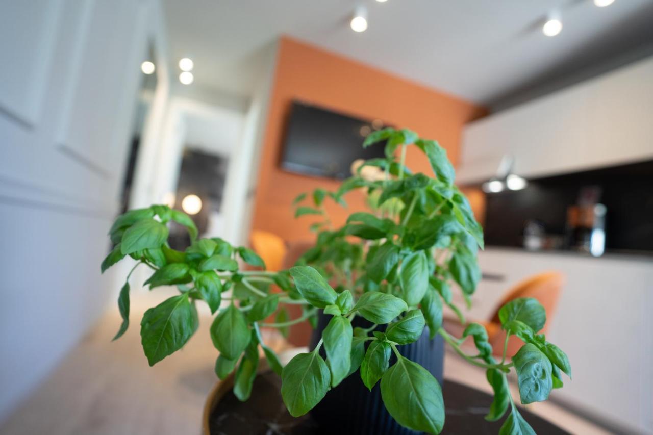 Prestige Apartment Rovinj